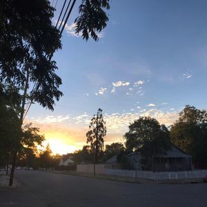 Meet your Posher, Hailiegh